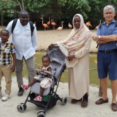 Une journée à Pairi Daiza