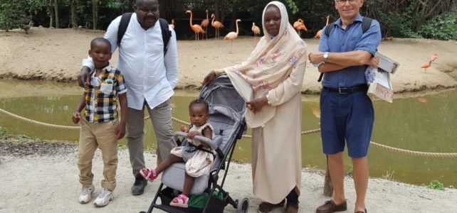 Une journée à Pairi Daiza
