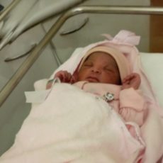 Des nouvelles de la famille A. de Marcq